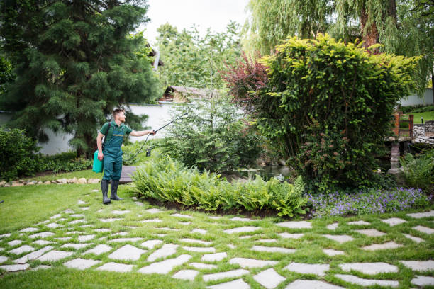 Best Insect Control  in Fort Myers, FL