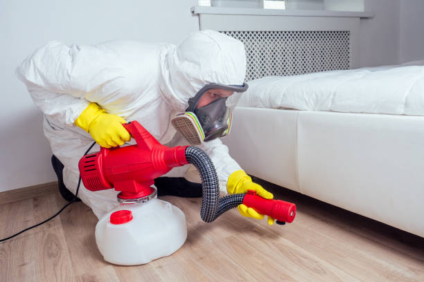 Reliable Fort Myers, FL Pest Control Solutions